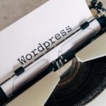 wordpress development company