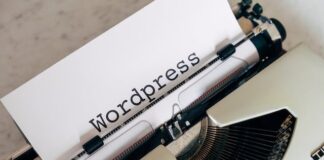 wordpress development company